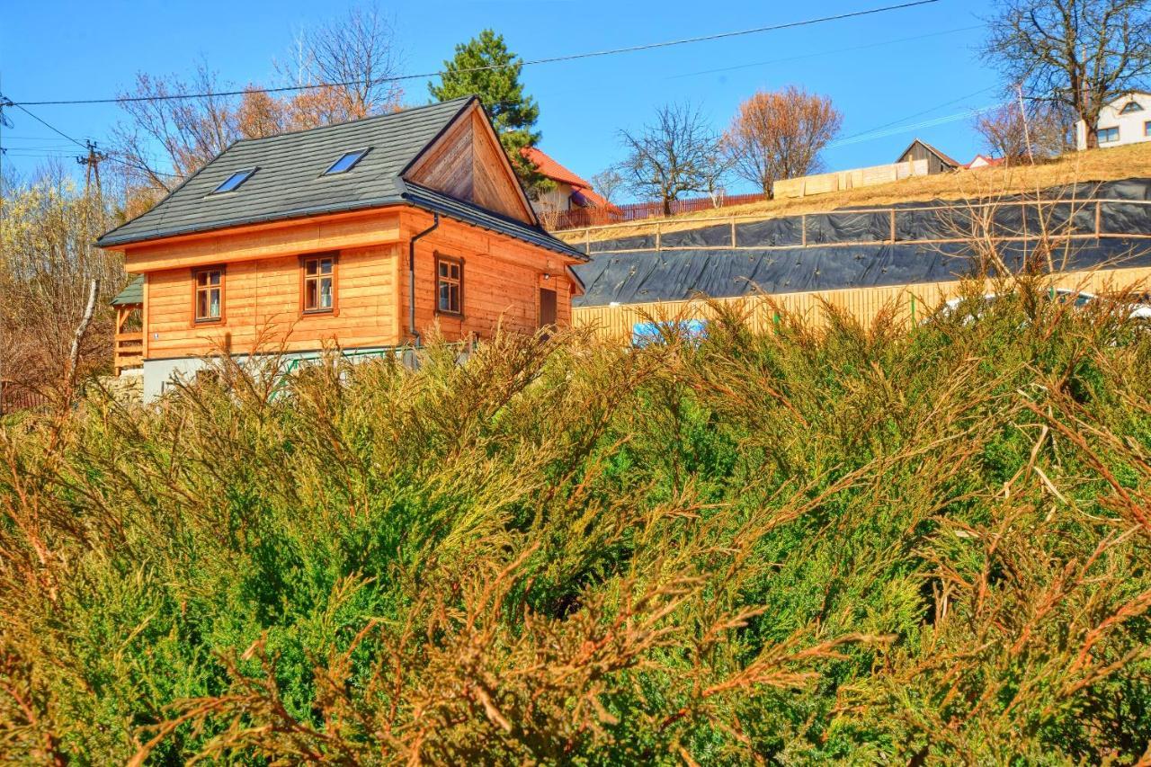 Zbójnicka Chata Wisła Exterior foto